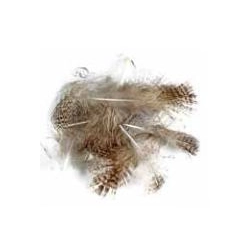 Soldarini English Partridge 3 olive